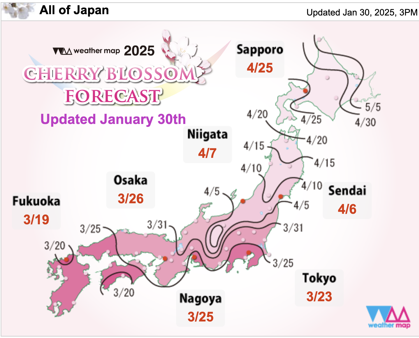 Fioritura ciliegi Giappone 2025 previsioni