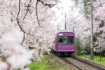 Japan Rail Pass - domande frequenti