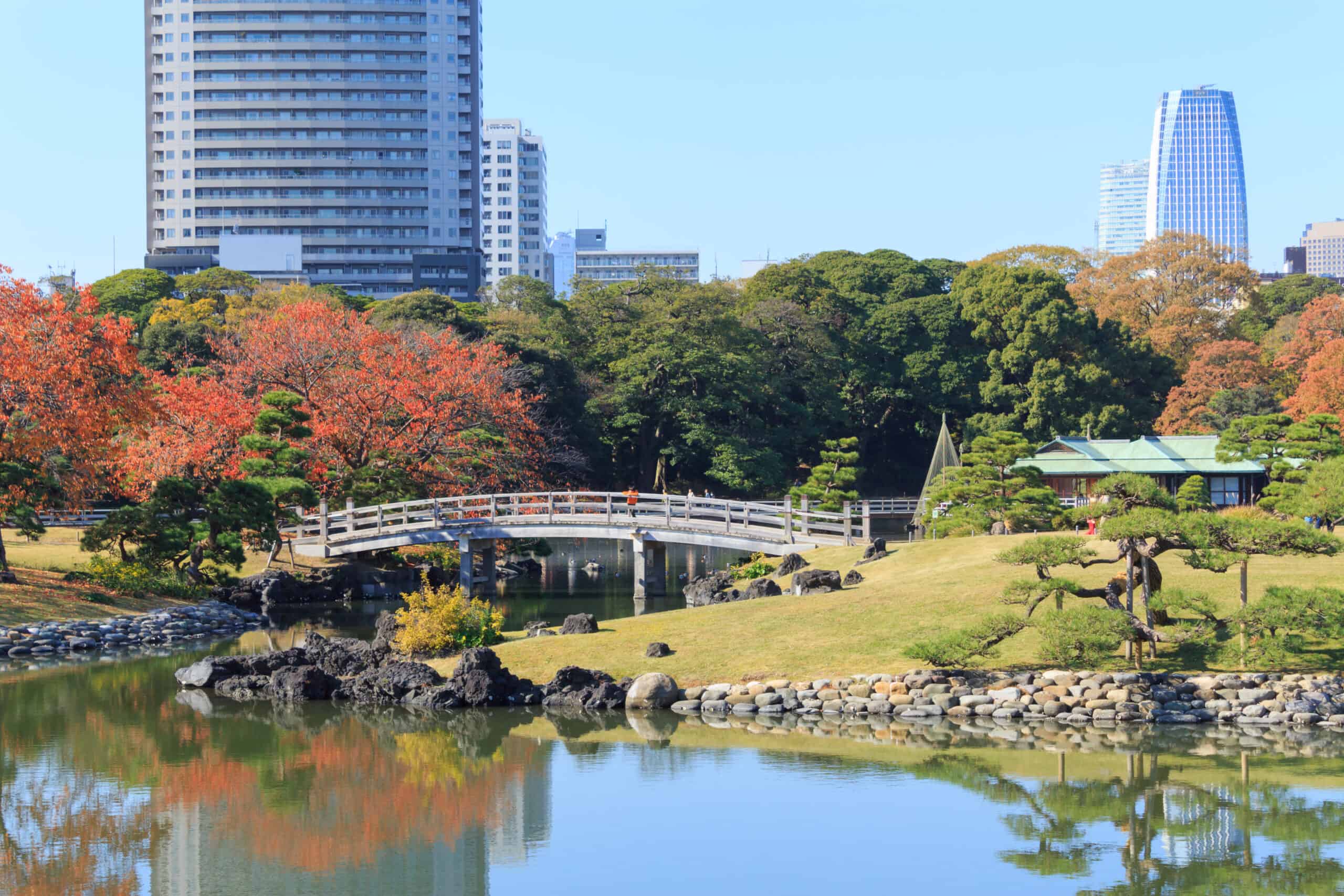 Tour di Tokyo in italiano: tsukiji, Asakusa, giardini Hamarikyu