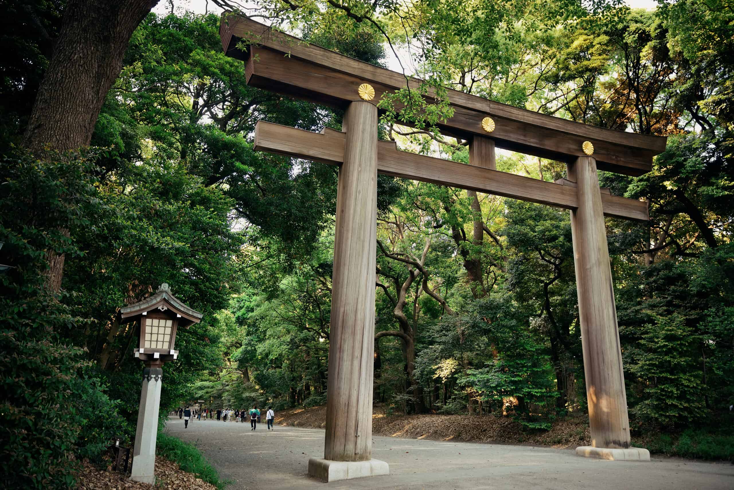 Tour di Tokyo in italiano: Meiji Jingu, Harajuku, Shinjuku, omotesando